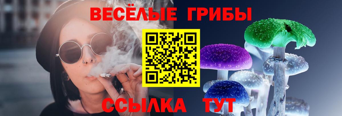 Псилоцибиновые грибы мицелий  Вход с VPN  Тельмана 